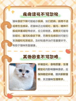 猫咪厌食是什么原因？猫咪厌食怎么办（最新）