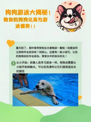 所有的狗狗都会游泳吗，所有的狗狗都会游泳吗大部分？