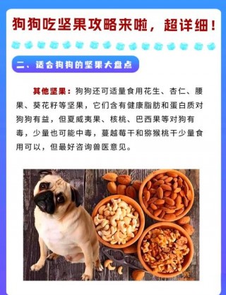 狗狗能吃花生嘛，（狗能吃花生不?）