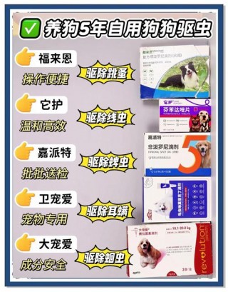 狗狗驱虫用什么药好，（狗驱虫什么药好啊）