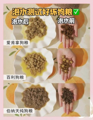 狗狗几个月不用泡狗粮？狗子几个月就不用泡狗粮了（最新）