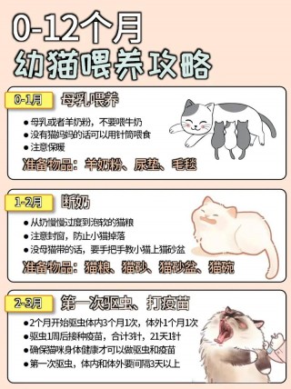 小猫咪怎么喂养？农村小猫咪怎么喂养（最新）
