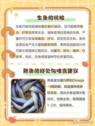 猫咪可以吃生鱼吗？宠物猫可以吃生鱼吗?（最新）