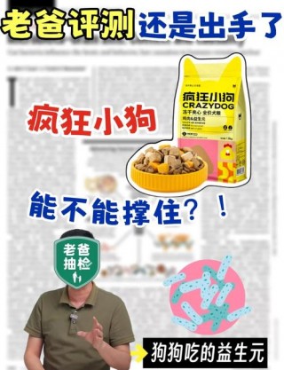 疯狂的小狗狗粮怎么样？疯狂的小狗狗粮怎么样狗狗吃了会不会增加鹿腿（最新）