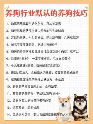 给狗狗怎么洗澡，（狗狗怎么洗澡不乱跑）