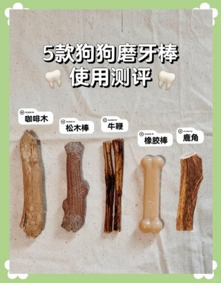 狗狗几个月可以吃磨牙棒，狗狗几个月开始吃磨牙棒？