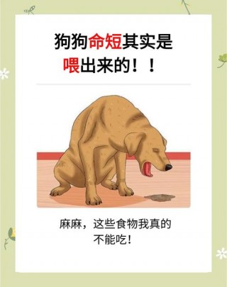 狗狗可以吃牛蛙吗？狗狗可以吃牛蛙吗有营养吗（最新）