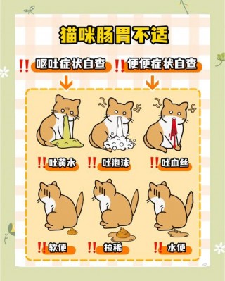 猫咪又吐又拉稀怎么办，（猫咪上吐下泻能自愈吗）