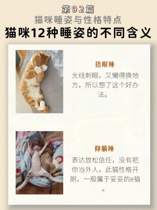 猫咪睡姿代表什么，猫咪睡觉的姿势代表什么？