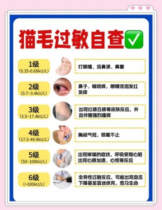 猫咪身上痒痒怎么办，猫身上痒痒怎么办吃什么药？