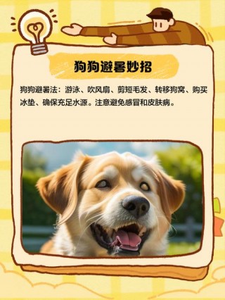 狗狗可以吃凉粉吗，狗狗可以吃凉糕吗？