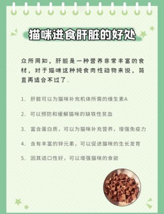 猫咪能吃肝脏吗，（小猫能吃肝吗?）