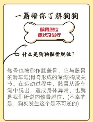 狗狗骨头错位能自愈吗，（狗子骨头错位了能自己纠正吗）