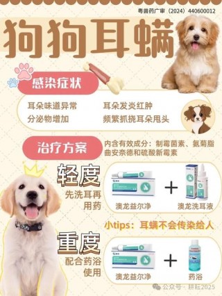 狗狗耳螨严重了怎么办？狗狗耳螨特别严重怎么办（最新）