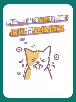 猫咪老是打喷嚏是怎么回事，猫咪老是打喷嚏是怎么了？