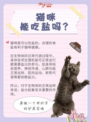 猫咪能不能吃盐？猫咪能不能吃盐吗（最新）