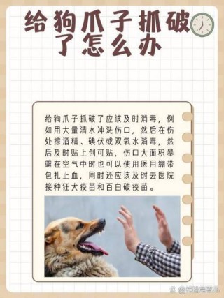 狗狗可以用碘伏吗，（狗狗可以用碘伏吗?）