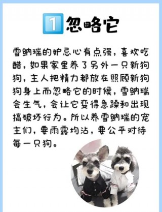 狗狗绝育有什么好处？狗狗绝育的坏处（最新）