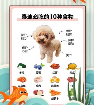 狗狗吃啥毛色漂亮？狗吃什么毛色亮颜色深（最新）