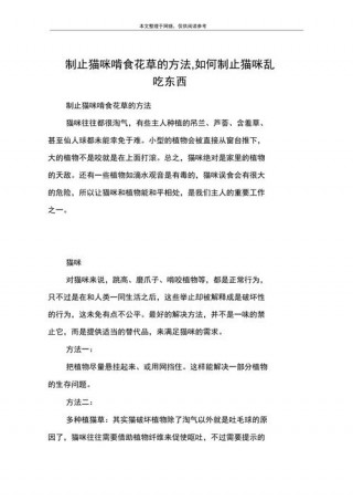 猫咪乱吃东西怎么办，（猫咪乱吃东西怎么回事）