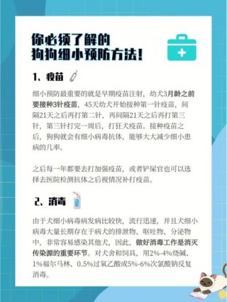 狗狗得细小怎么治，（宠物狗得了细小能治好吗）