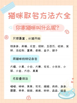 猫咪知道自己的名字吗，猫咪能听懂主人骂它吗？