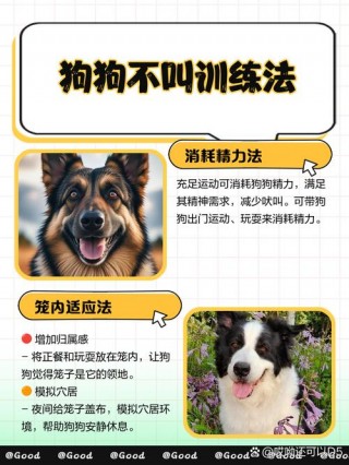 如何训练狗狗不叫，（狗狗怎么训练不叫）