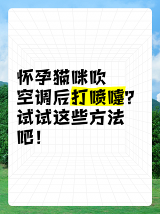 小猫咪打喷嚏怎么办？小猫咪打喷嚏怎么办吃什么药（最新）