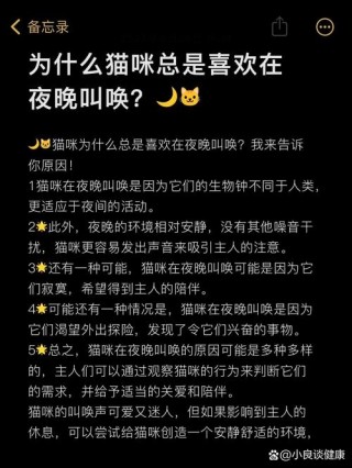 猫猫为什么一直叫，（猫咪为什么一直叫）