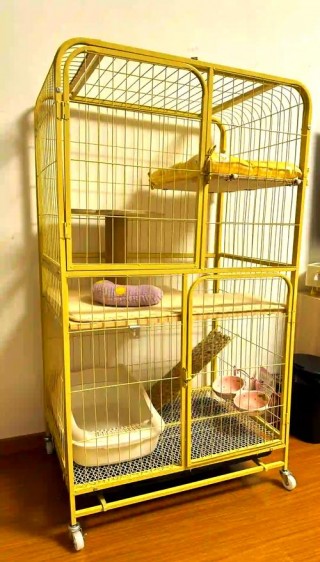 猫咪关在笼子里一直叫，猫咪关在笼子里一直叫没事吧？