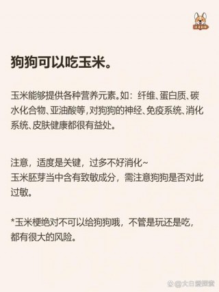 狗狗可以吃煮玉米吗，狗狗可以吃煮玉米么？