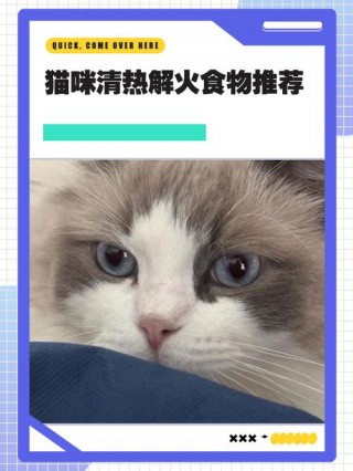 猫咪可以吃板蓝根吗？猫咪能吃板蓝根颗粒吗（最新）