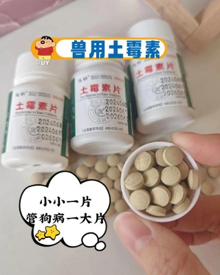 狗狗吃土霉素的用量，给狗狗吃土霉素片？