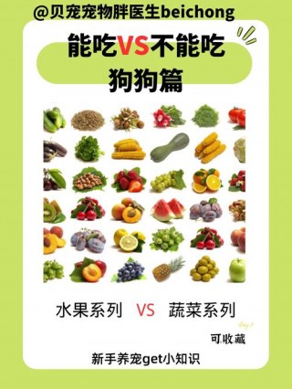 狗狗能吃苹果核吗，（狗狗能吃苹果核吗狗狗吃苹果核会中毒吗?）