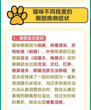 猫猫眼睛红肿？猫猫眼睛红肿睁不开怎么回事（最新）