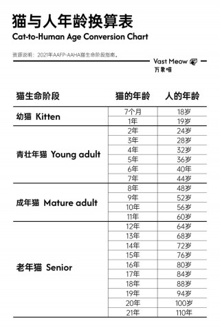 猫咪一岁相当于人几岁，（猫咪一岁相当于人几岁智商正常）