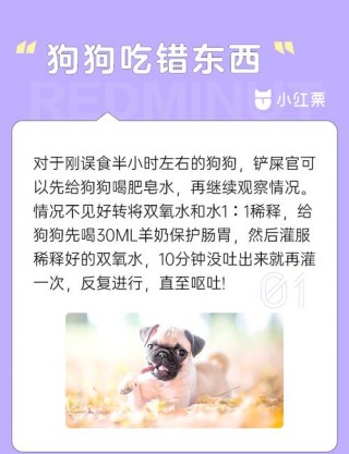 如何给狗狗催吐，（如何给狗狗催吐手法）