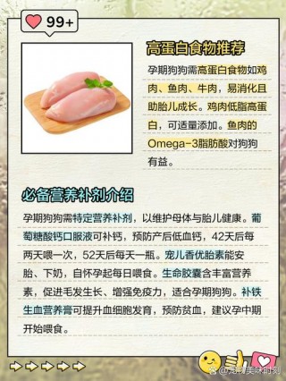 狗狗怀孕能吃鸡蛋吗，狗怀孕能吃鸡蛋么？