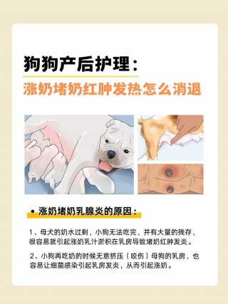 狗狗断奶后涨奶怎么办？狗狗断奶乳房胀怎么办（最新）