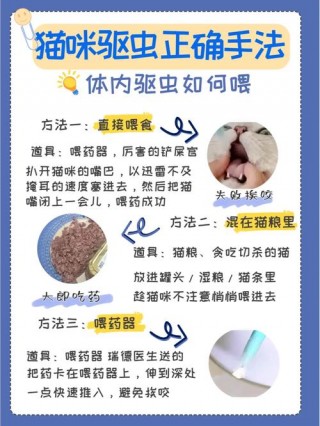 如何给猫咪体外驱虫？怎样给猫体外驱虫便宜（最新）