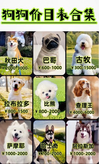 狗狗美容多少钱，狗狗美容多少钱一次,多久剪一次？