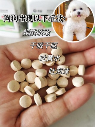 狗狗咳嗽干呕吃什么药？狗狗咳嗽干呕喝什么药（最新）