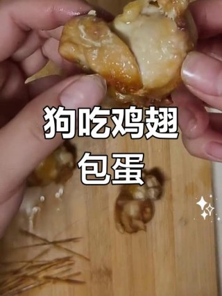 狗狗可以吃鸡翅吗，狗狗能吃鸡翅膀吗？