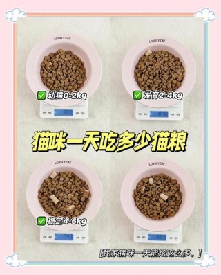 猫咪能吃燕麦吗，（猫能吃燕麦片吗?）