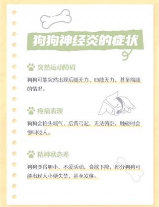 狗狗脑炎怎么治疗，（狗狗脑炎治疗大概需要多少钱）