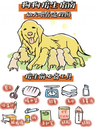 怎么帮狗狗接生，（如何帮狗狗接生）