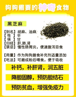 狗狗可以吃芝麻糊吗？狗狗可以吃芝麻糊吗怎么吃（最新）