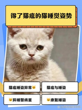 猫咪一直睡觉正常吗，（幼猫一直睡觉正常么）