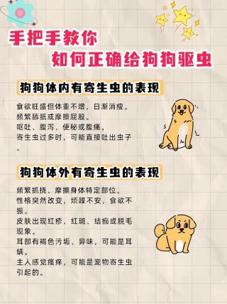 狗狗驱虫药怎么喂？狗狗驱虫药怎么喂嘴里（最新）