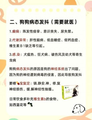 狗狗抽搐怎么治疗，（狗狗抽搐治疗方法）